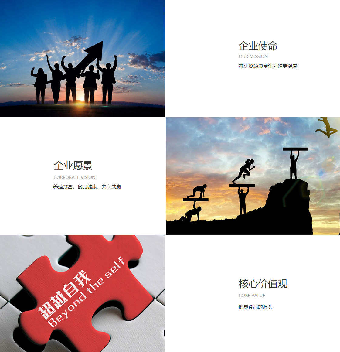 星空综合(中国)(图1)